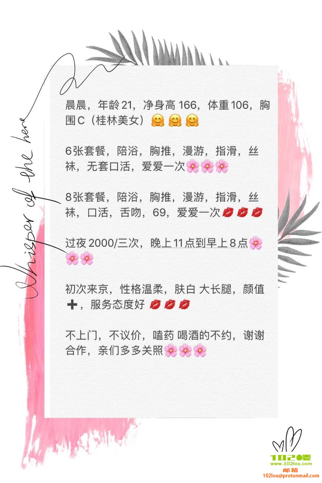 000311t2sd11scndcdssk1.jpg